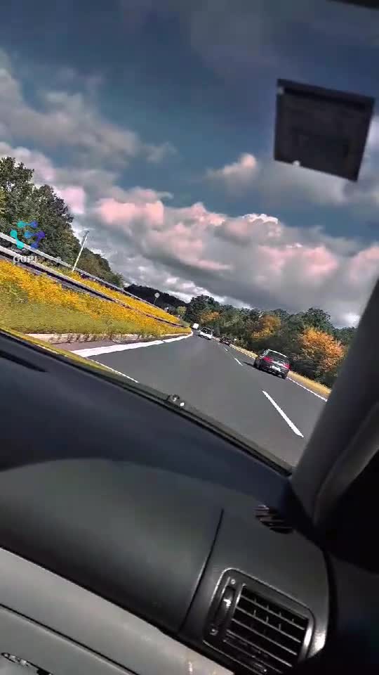 Video de @gupiuser41356