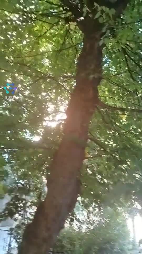 La plimbare ,iubesc natura !