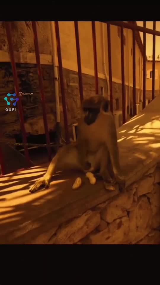 Video de @giorgio:maryo😎23605