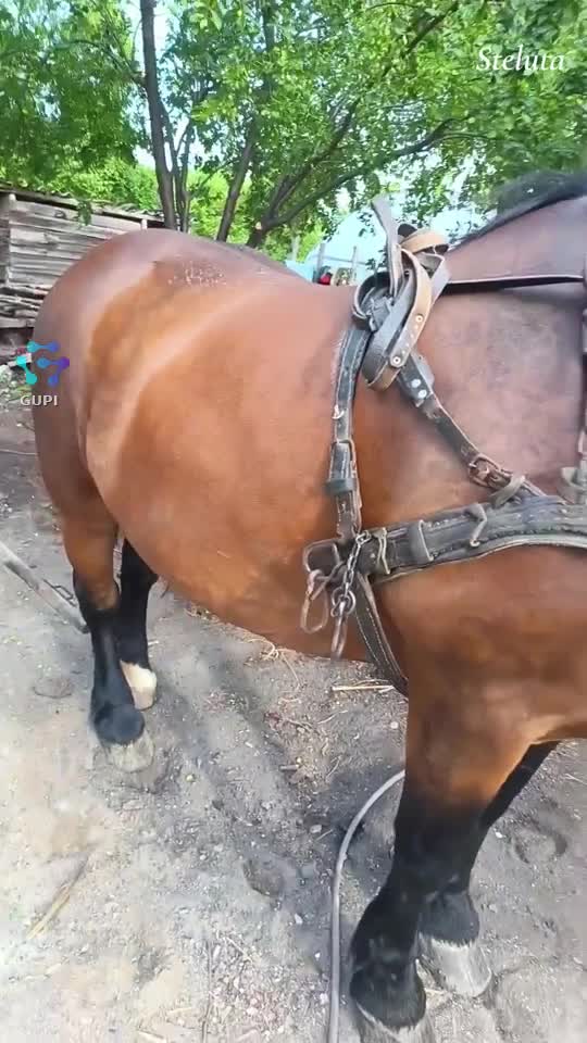 Steluta 😘