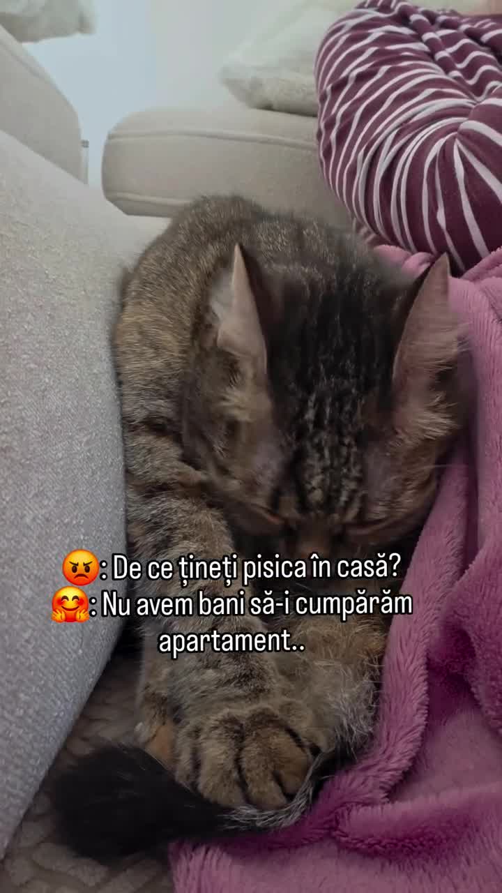 😂😂🤣😅🤣😂😂