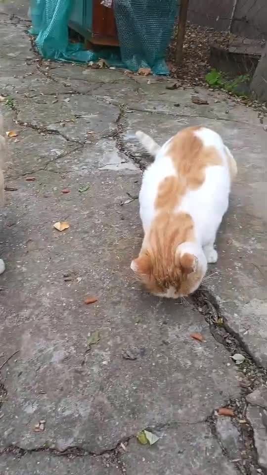 Prietena mea😘