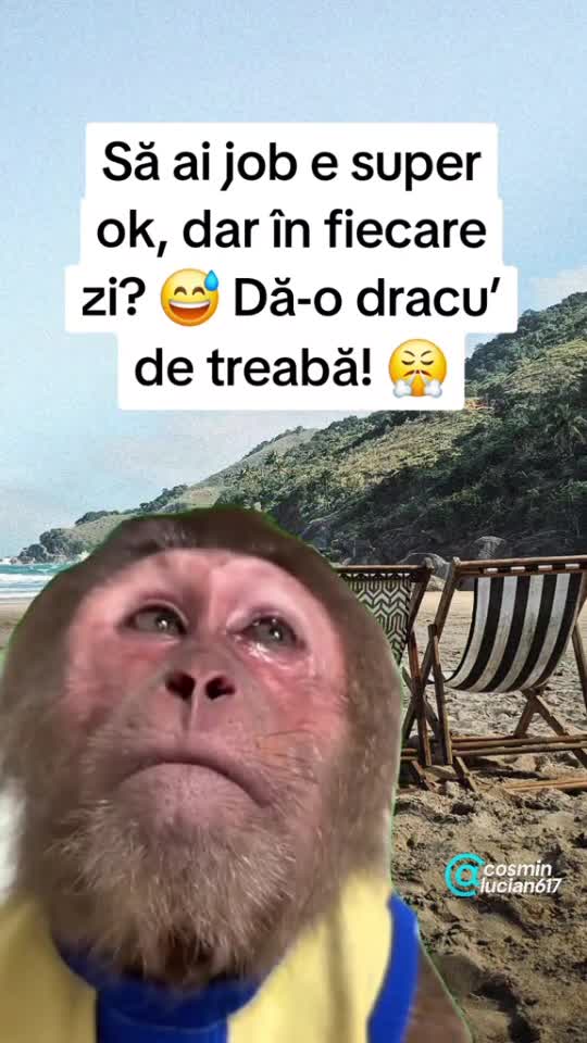 🇷🇴🤪🇷🇴#🇷🇴🤣🤣