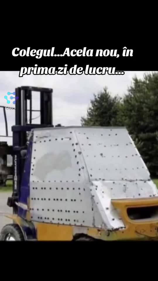 noul coleg în prima zi de lucru...😁😁😁