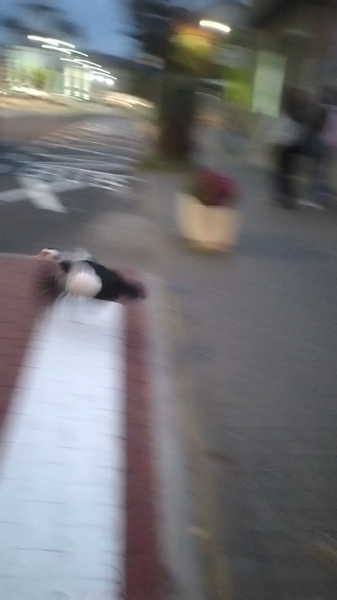 Video de @gupiuser142791