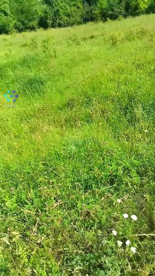 Video de @gupiuser371628