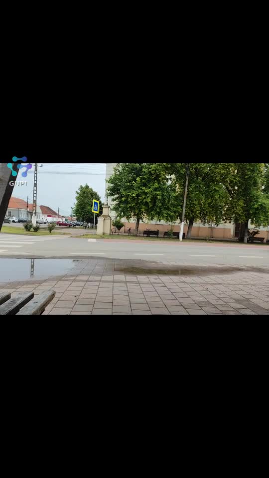 Video de @gupiuser156147