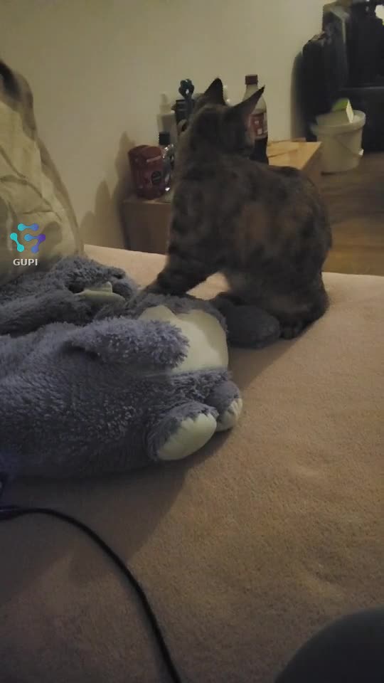 Video de @gupiuser462114