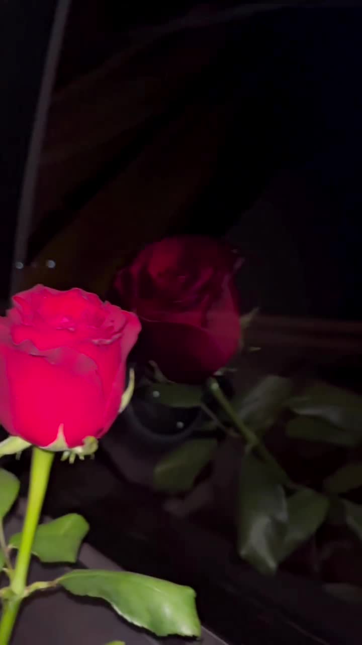 Video de @gupiuser90694