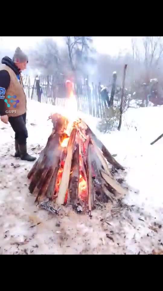 Video de @gupiuser155768