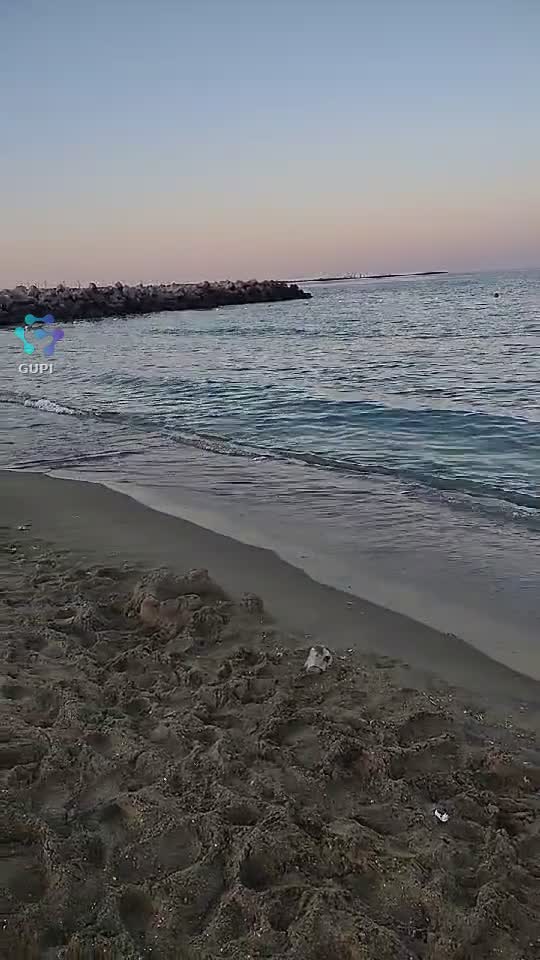 |||{"overlays":[{"text":"Eforie nord 😍","x":0.2498236762152778,"y":0.3668113069581281,"fontSize":26.0,"color":4294967295,"isEmoji":false}]}