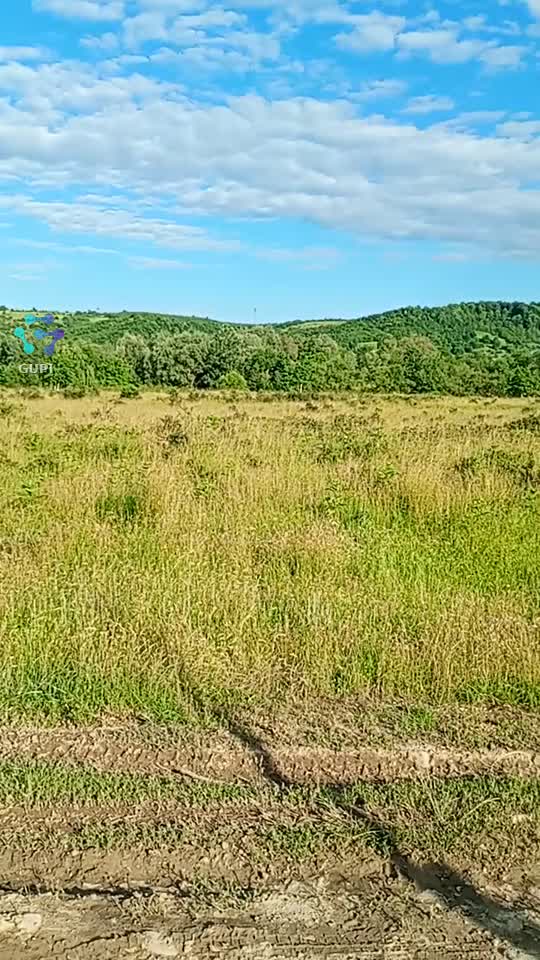 Video de @gupiuser329023