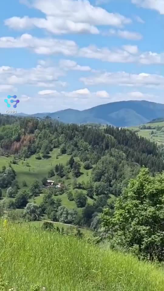👍