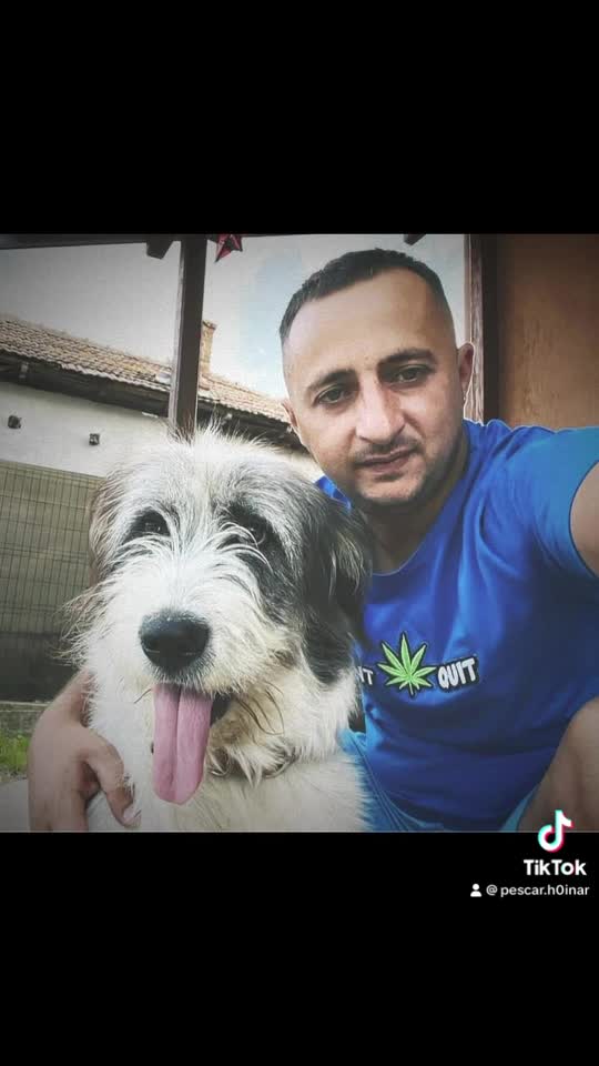 #animals