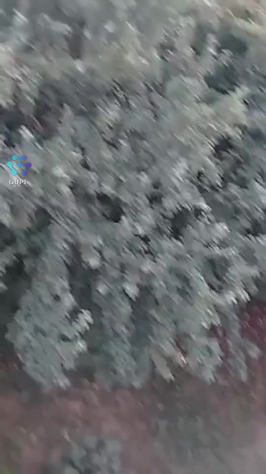 Dar din dar se face rai !