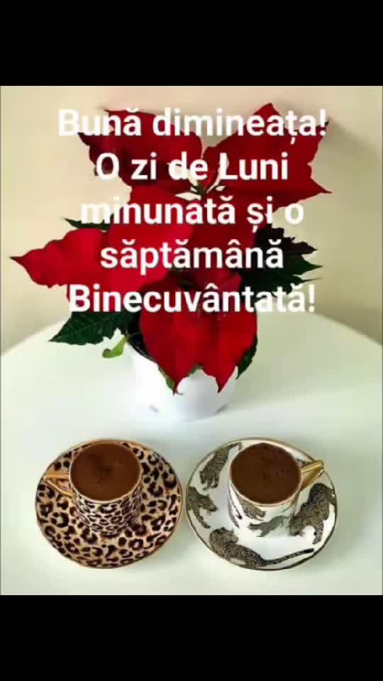 BUNĂ DIMINEAȚA TUTUROR VĂ DORESC O ZI FRUMOASĂ ȘI MULTĂ SĂNĂTATE ȘI O ZI BINECUVÂNTATĂ ȘI POFTĂ BUNĂ LA CAFEA