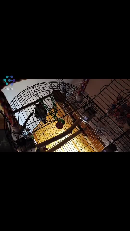 Video de @gupiuser158207