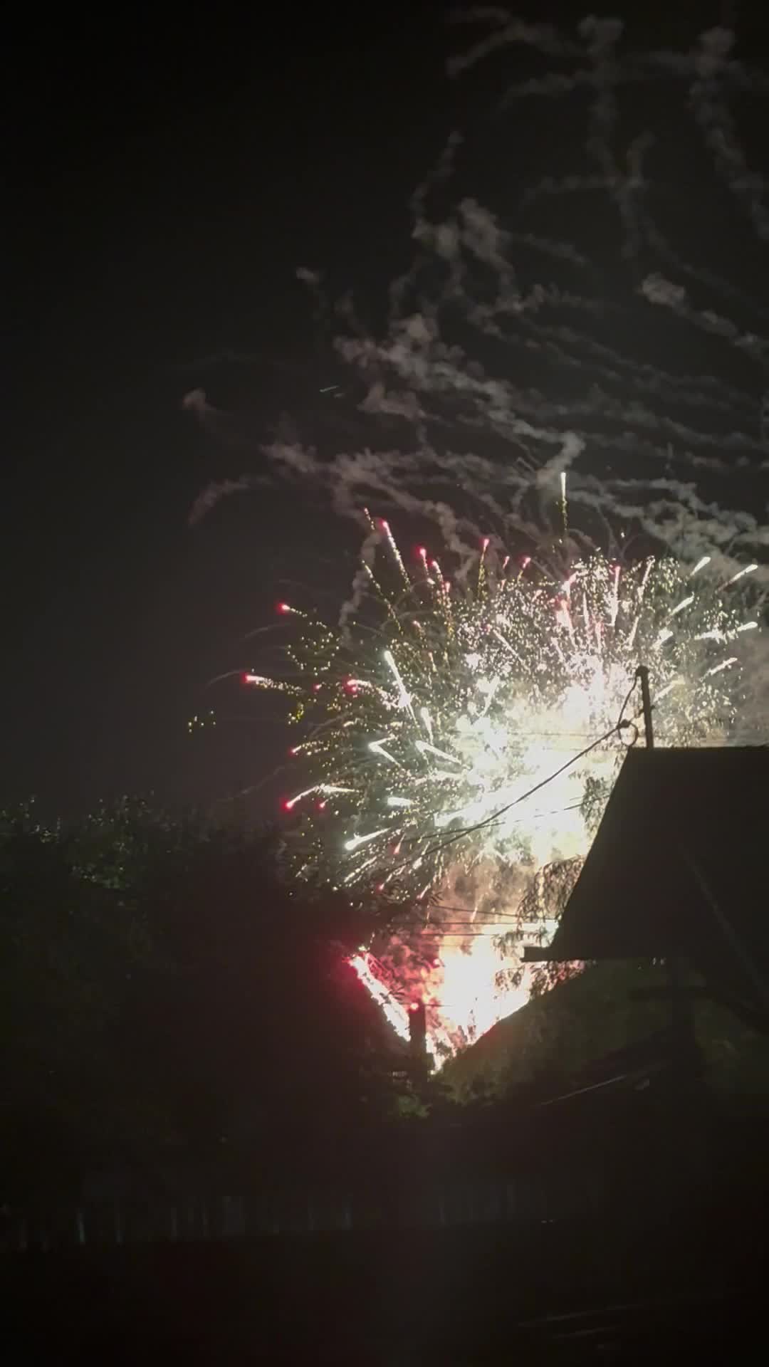 Video de @gupiuser141220