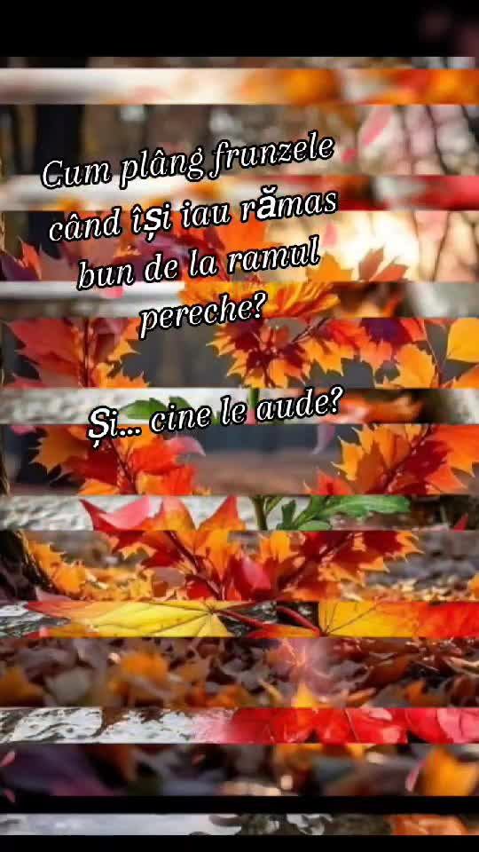 Dacă vrei... și toamna poate fi o primăvară....
Doar iubire să vă fie viața ❤️🌹