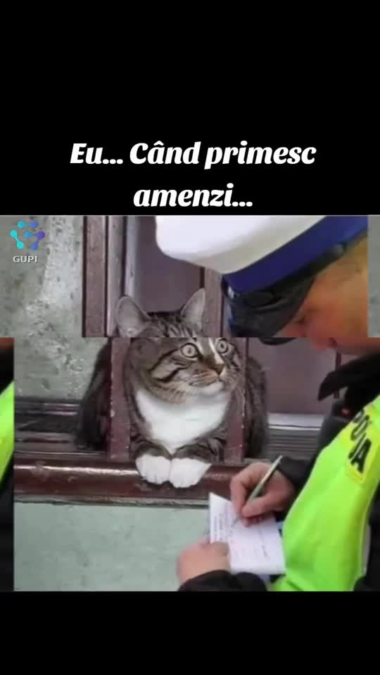 eu când primesc amenzi...😁😁😁
