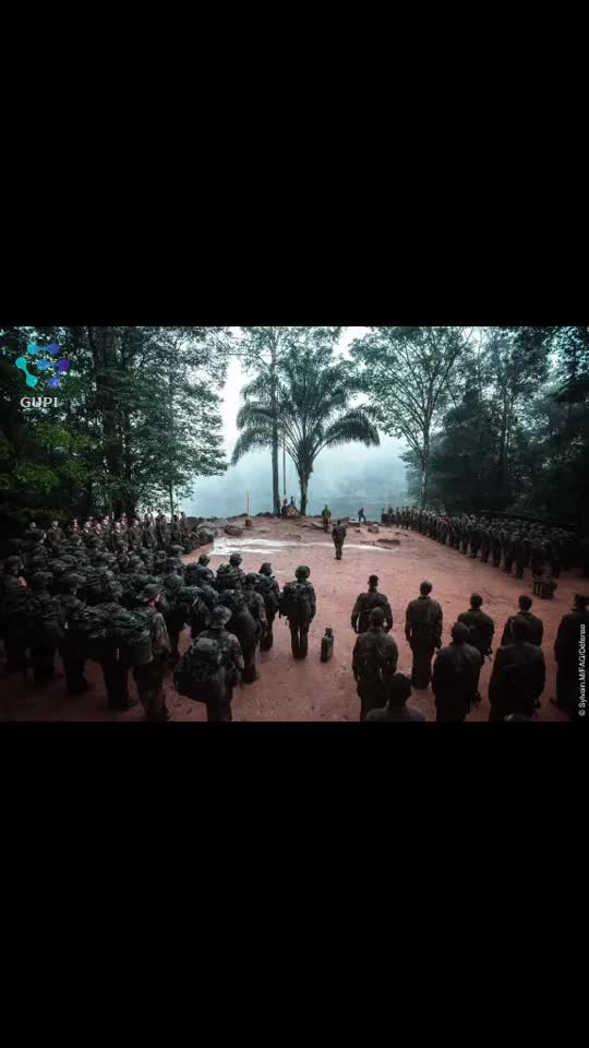 Video de @gupiuser279395