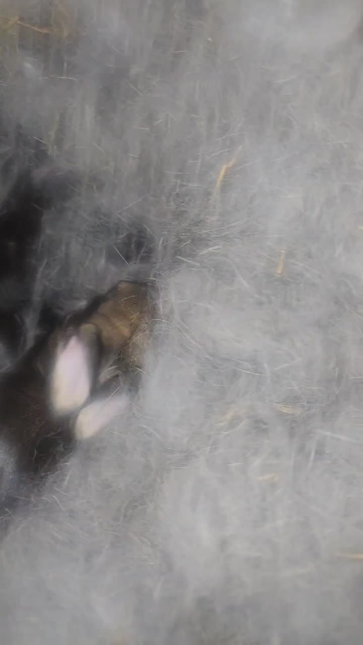 mică ferma din   
voi de unde ma salutati
