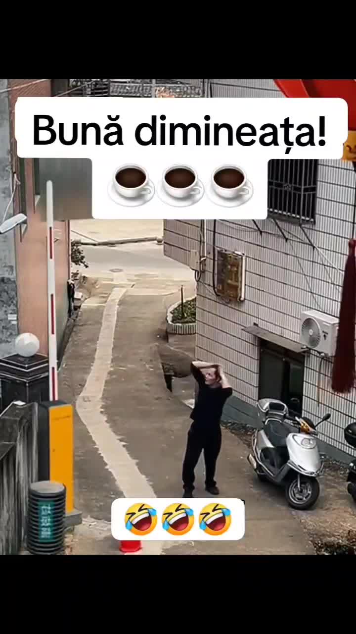 🤣🤣