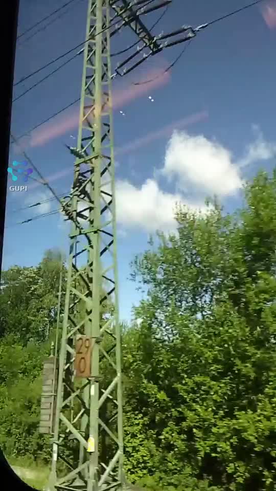 Video de @gupiuser155431