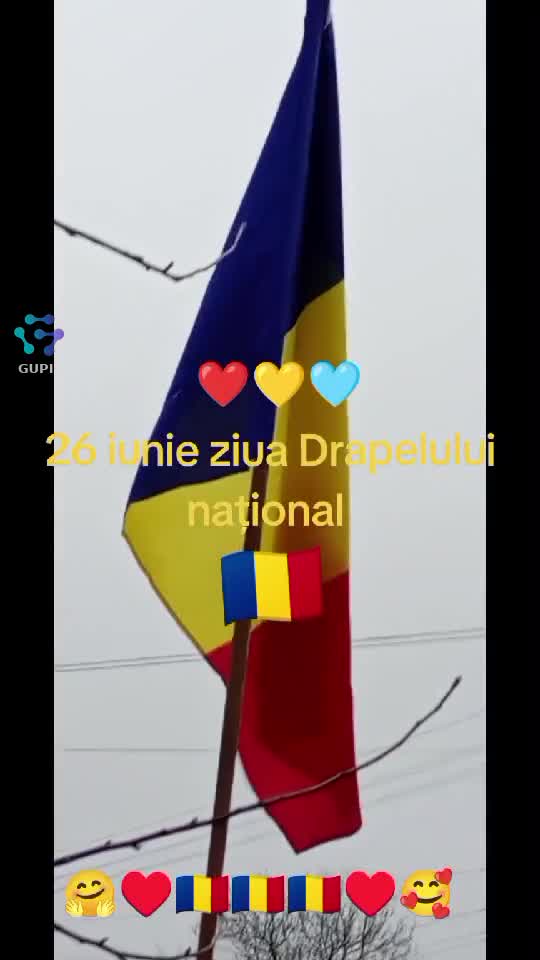 Video de @gupiuser156302