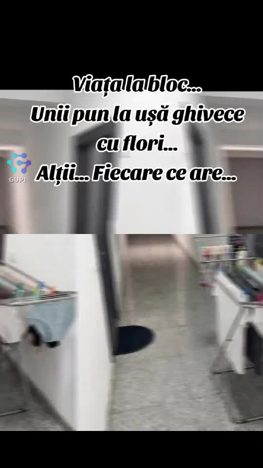 viața la bloc...😁😁