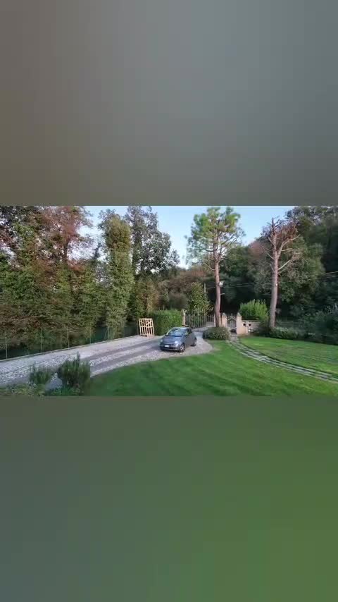 Video de @gupiuser1056924