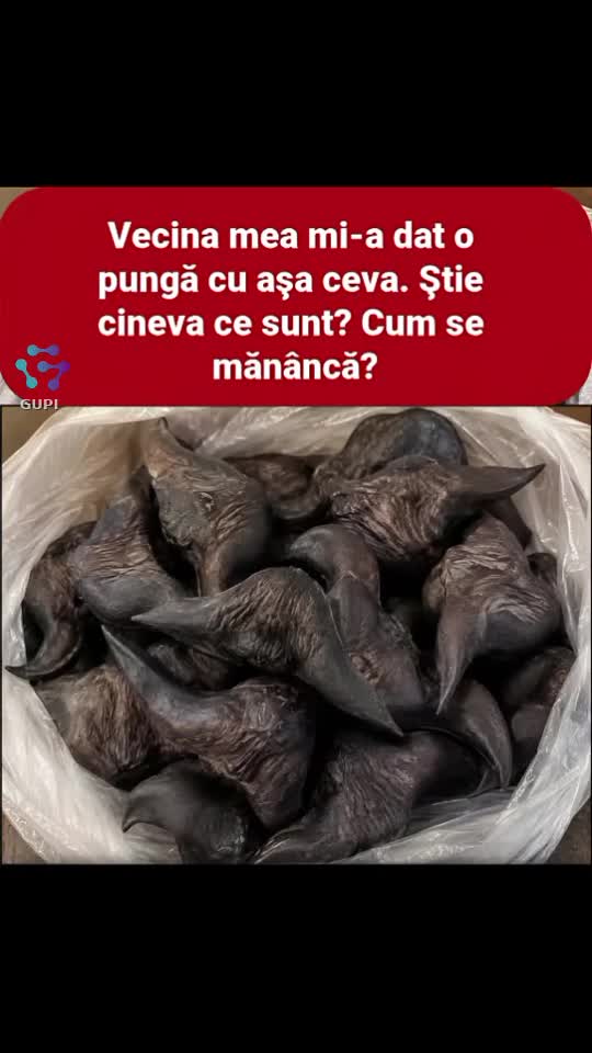 Video de @gupiuser279239