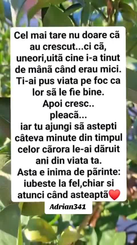 Video de @gupiuser979465