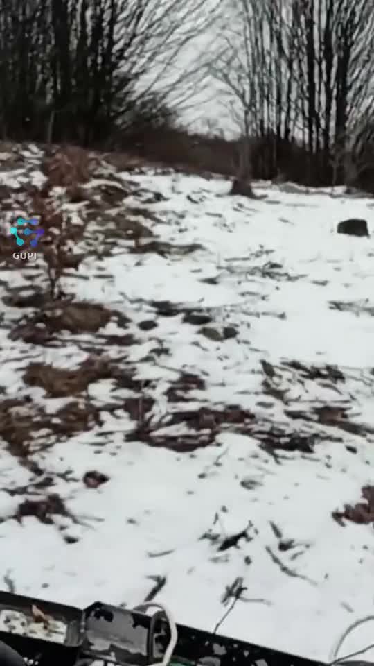 Video de @gupiuser156436