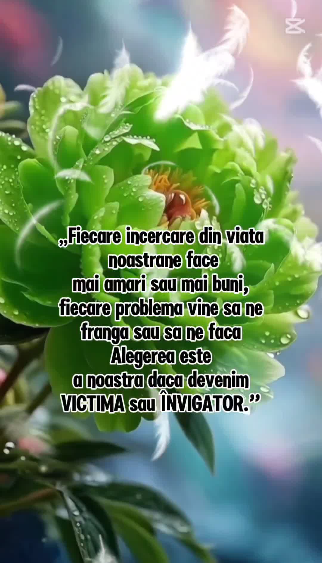 Fiecare incercare