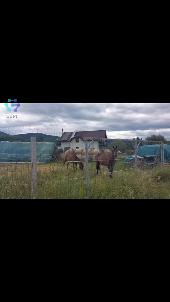 Video de @FLRica06