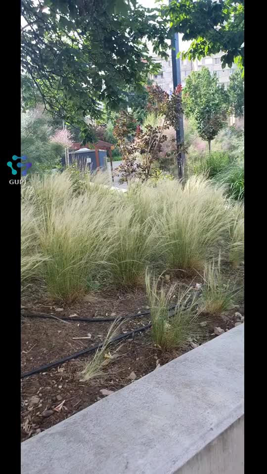 Video de @gupiuser109264