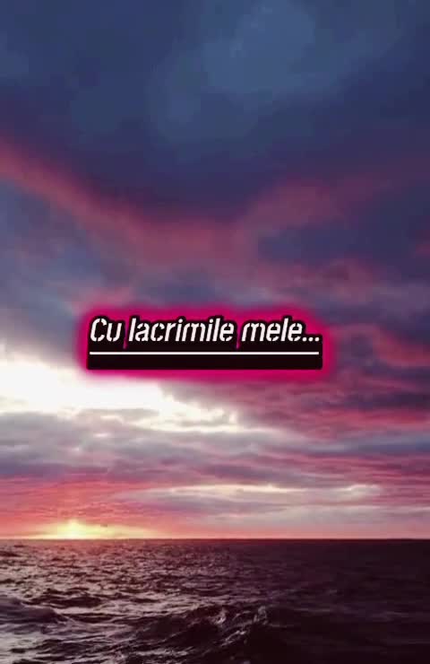 # 🦋  
🌊🚢 #❤️