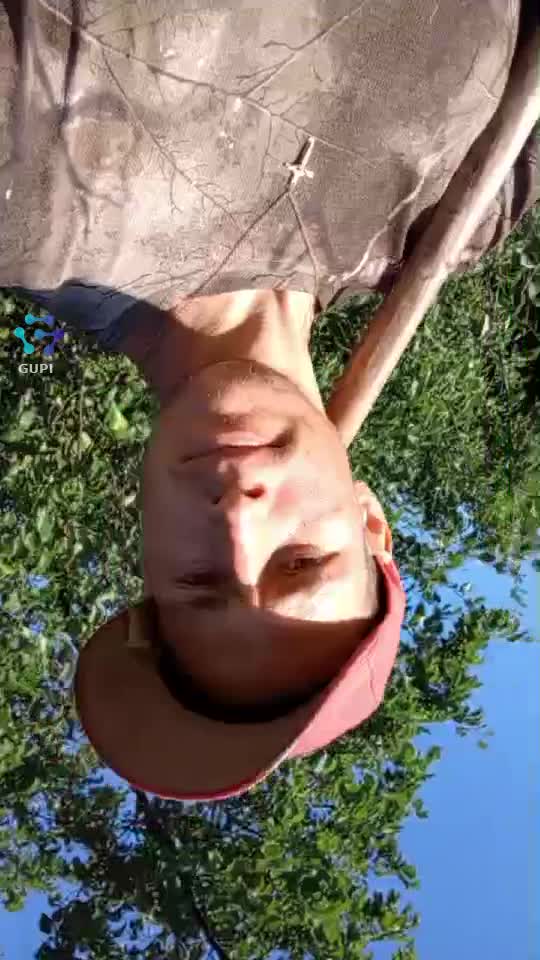 Video de @gupiuser391937
