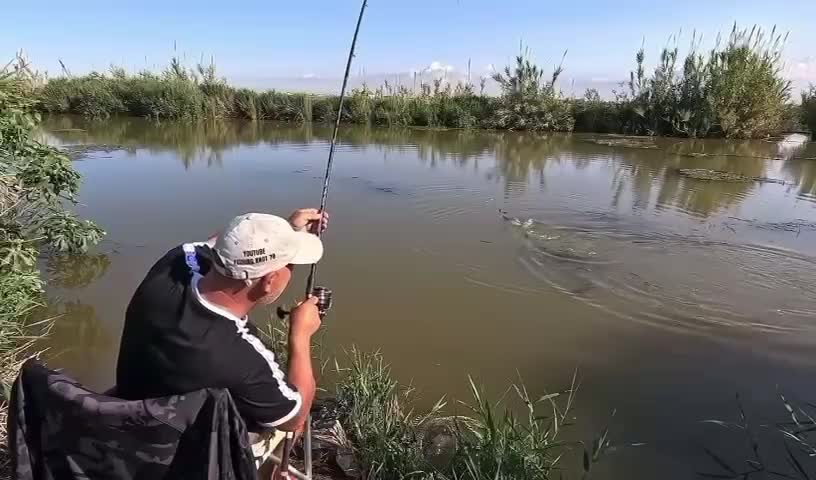 #fishing