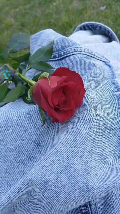 Video de @gupiuser827735
