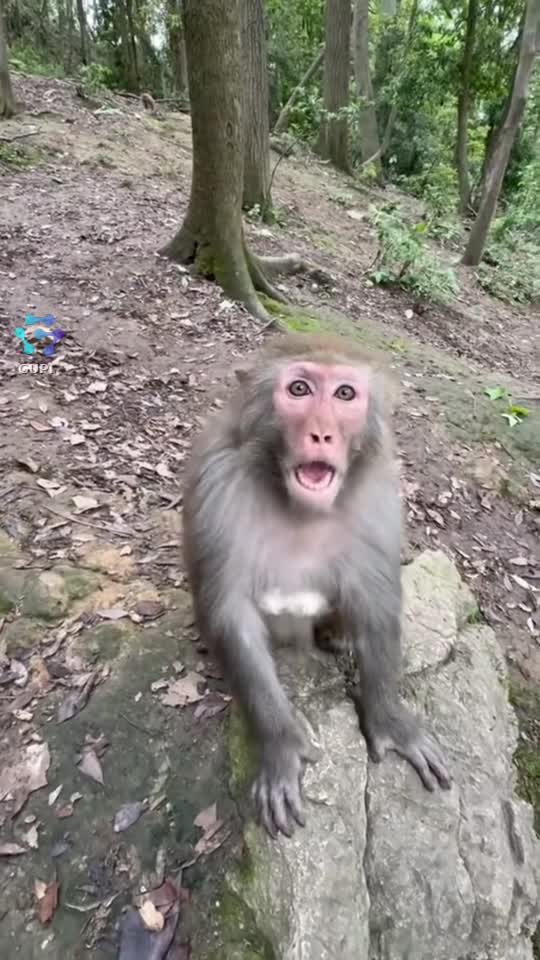 🤣🤣🤣