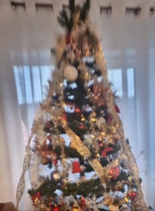 Crăciun binecuvântat!🙏🎄😊