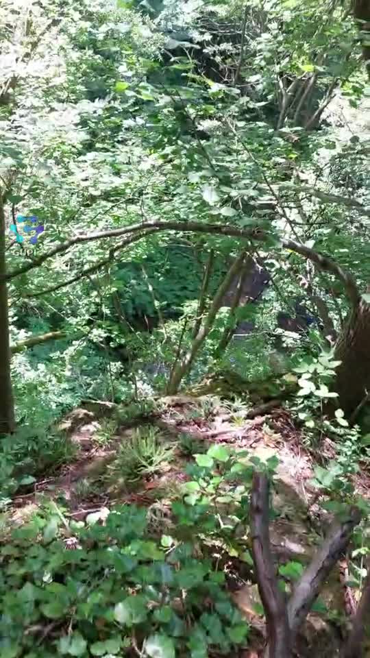 Video de @gupiuser157138