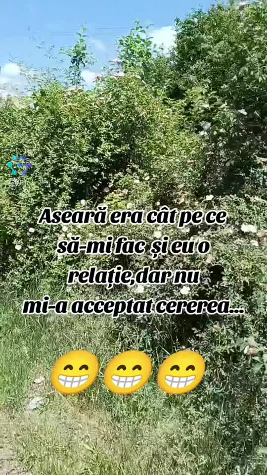 era cât pe ce...😁😁😁