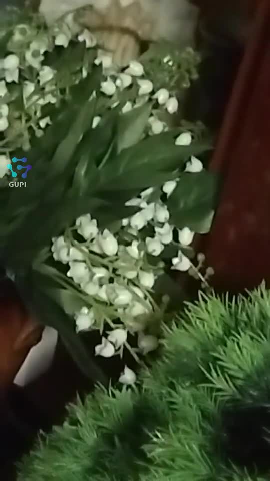 Video de @gupiuser153804