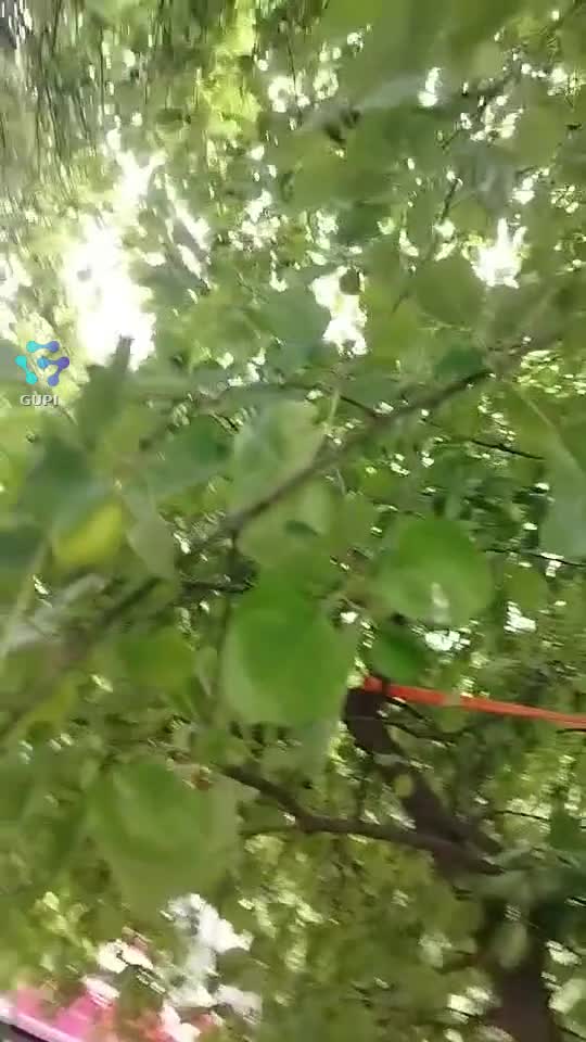 O melodie pentru voii !♥️♥️♥️