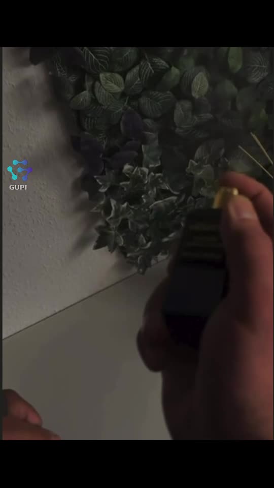Video de @gupiuser329233
