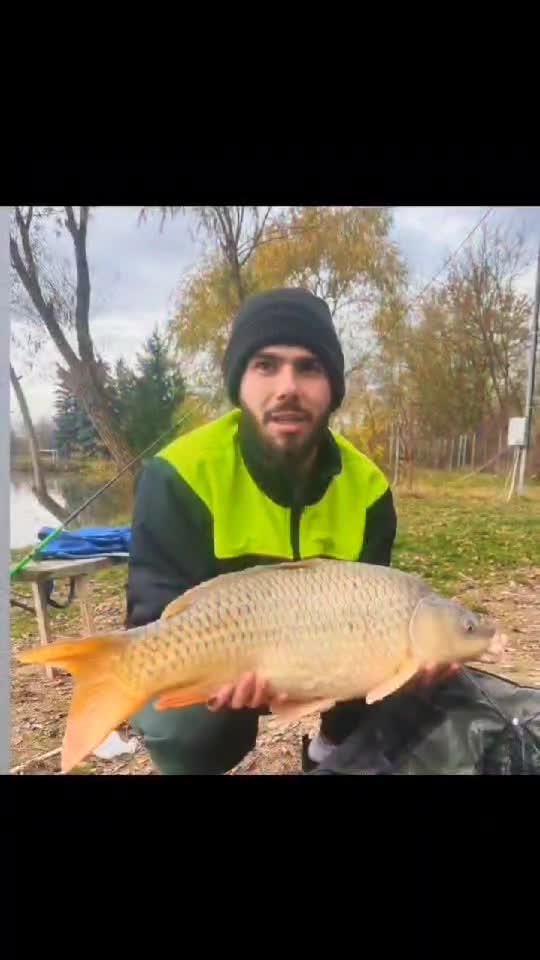 Noiembrie Balta 2 Otvești