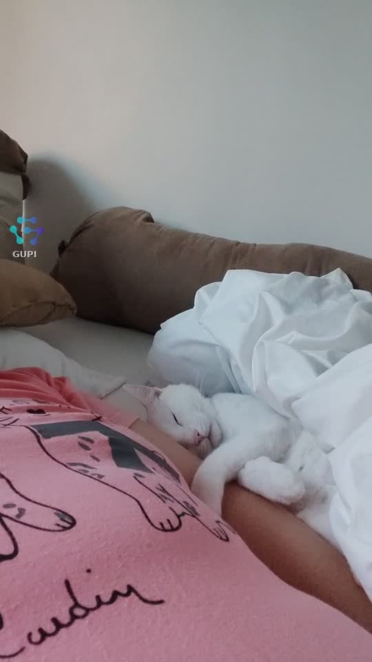 Video de @gupiuser151372